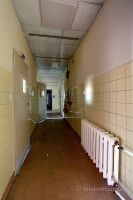 Bild (17)